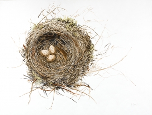 Nest Dunwing